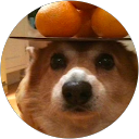 Nhuy Tran profile picture