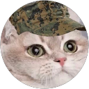 Dylan Murray profile picture